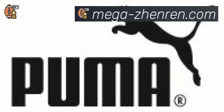 AG真人合作伙伴